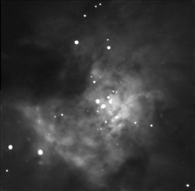 CCD Mosaic Image of Great Nebula in Orion constellation, through 10 Inch Telescope. (12625 bytes)