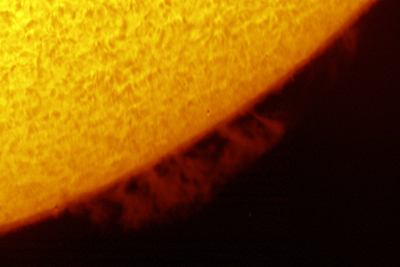 Hedgerow Prominence as imaged by a DayStar Hydrogen Alpha Filter (95,430 bytes). Image courtesy of DayStar.