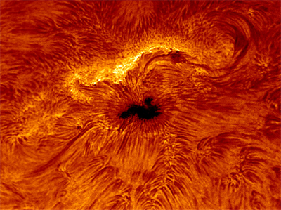 Sun in H-Alpha, April 28, 2007