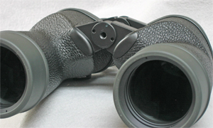 Fujinon 10x 50mm FMT-SX Binocular bridge (98,506 Bytes)