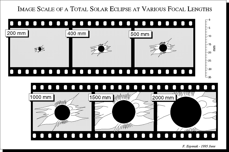 [Image scales figure]