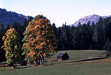 Countryside scene image taken without Polarizing Filter