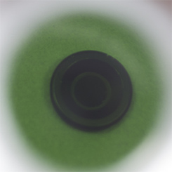 green color tone of filter