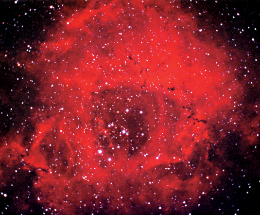 The Rosette Nebula by Philip Perkins
