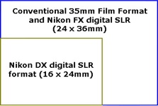 Nikon DX and FX formats compared (13,900 bytes)