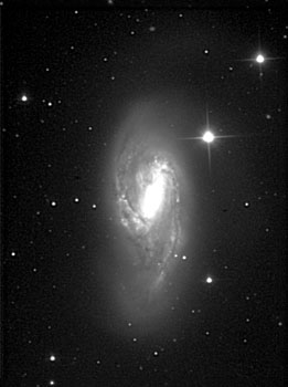 M66@15Mlg_riffle.jpg (16920 bytes)