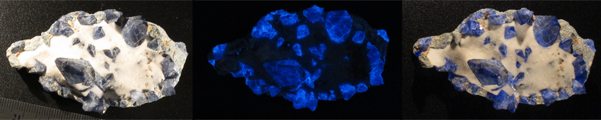 UVP Cabinet C-65 illuminating Benitoite sample in white light, then with two optional EL Lamps on at 254nm, then with white and UV lights on (254,524 bytes)