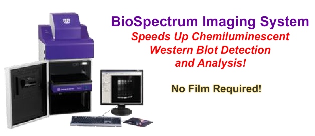 UVP Biospectrum Imaging System (28,448 bytes)