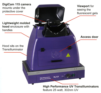 UVP DigiDoc-It system with transilluminator (75,581 bytes)